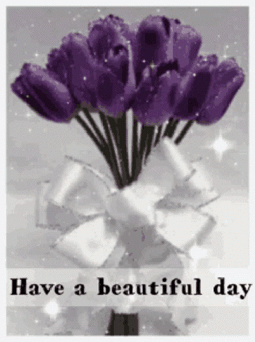 Blessed Day Have A Beautiful Day GIF
