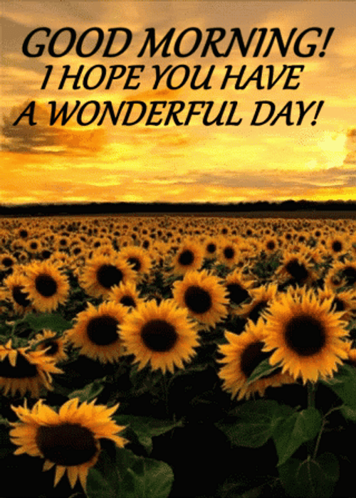 Blessed Day Hope You Have A Wonderful Day GIF