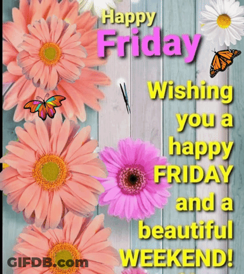 Blessed Friday Coral Daisies GIF