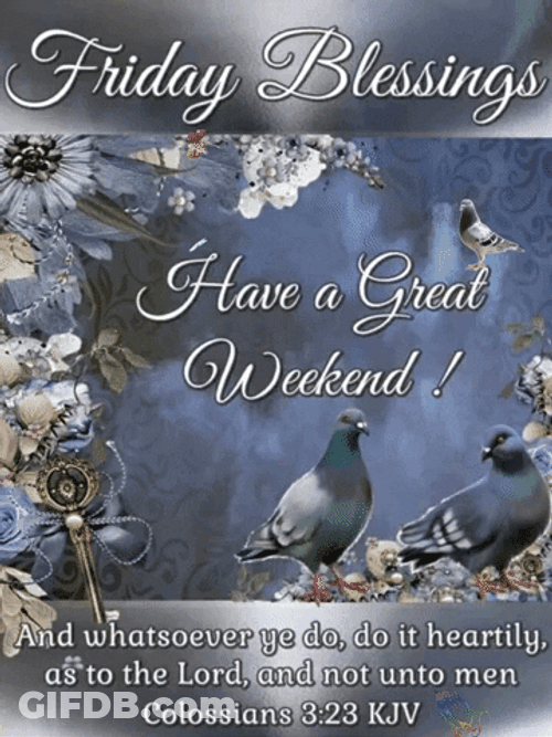 Blessed Friday Gray Pigeons GIF