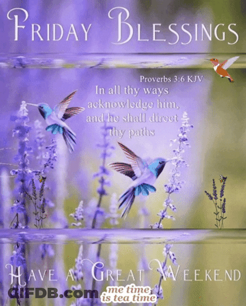 Blessed Friday Lavender Flowers GIF