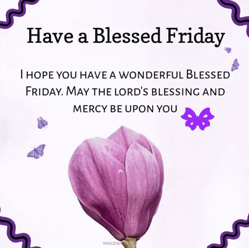 Blessed Friday Purple Magnolia GIF