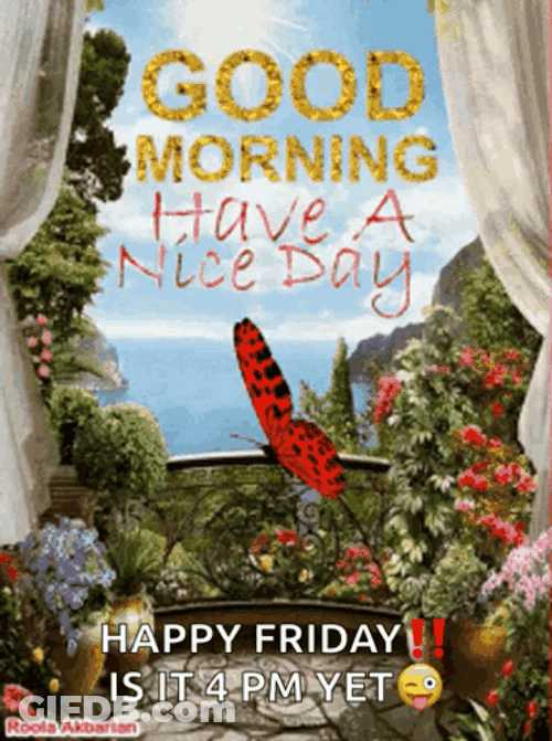 Blessed Friday Red Butterfly GIF