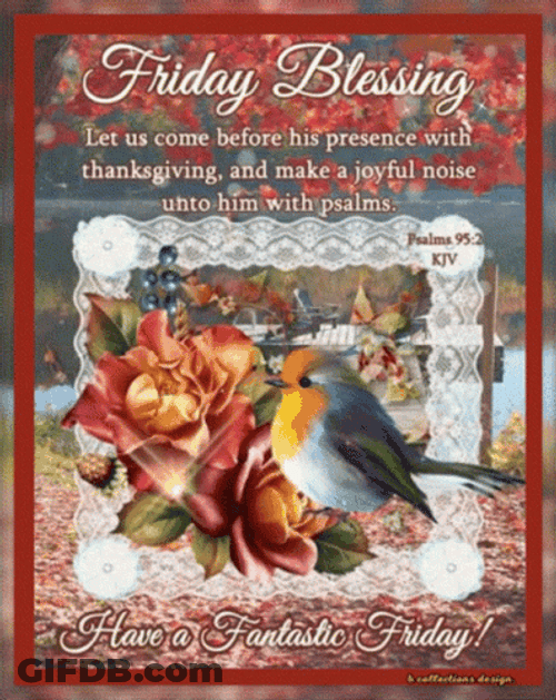 Blessed Friday Robin Bird GIF