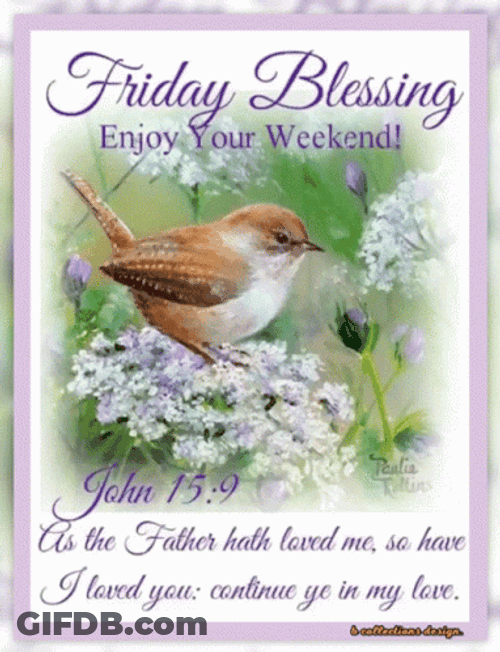 Blessed Friday Small Wren Bird GIF