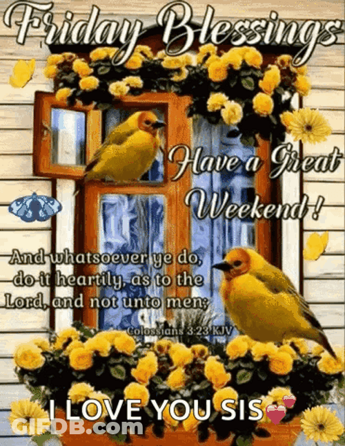 Blessed Friday Taveta Weaver Bird GIF