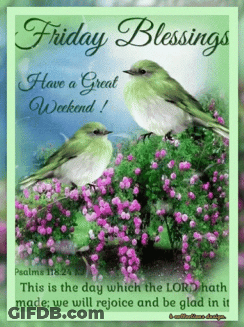 Blessed Friday Tennessee Warbler Birds GIF