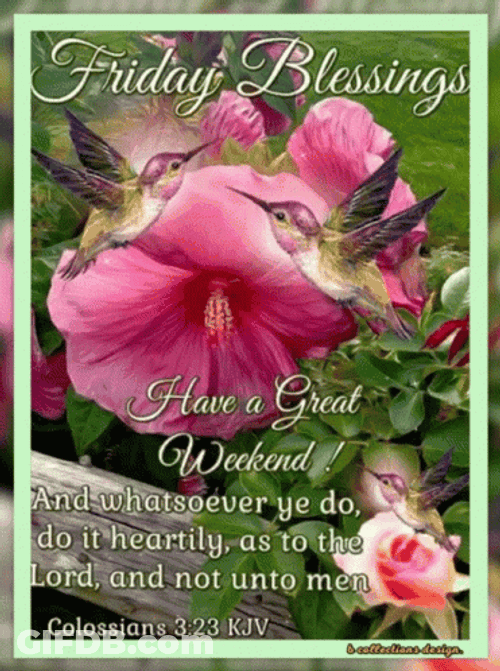 Blessed Friday Two Hummingbirds GIF