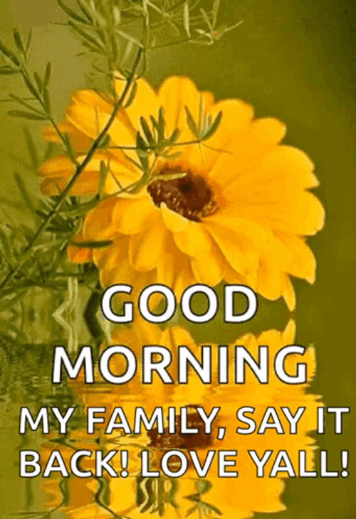 Blessed Good Morning Wednesday From My Family GIF