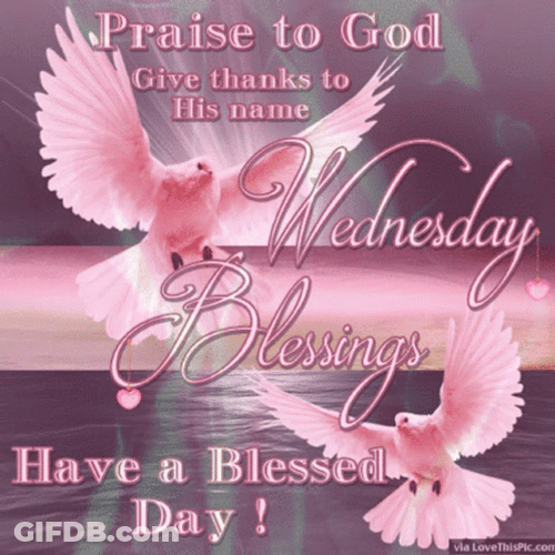 Blessed GIF