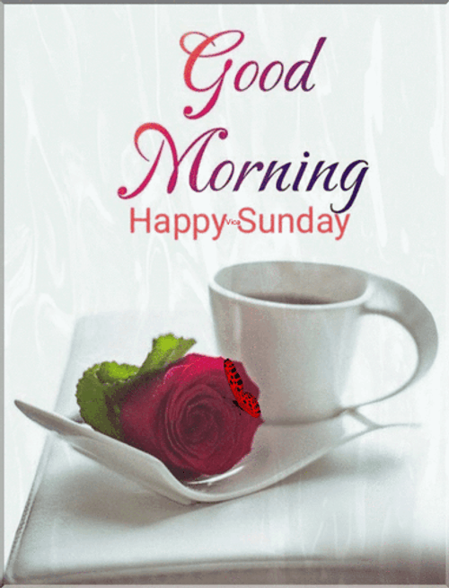 Blessed Happy Sunday Tea And Rose GIF