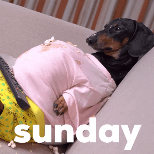 Blessed Happy Sunday Weiner Dog GIF