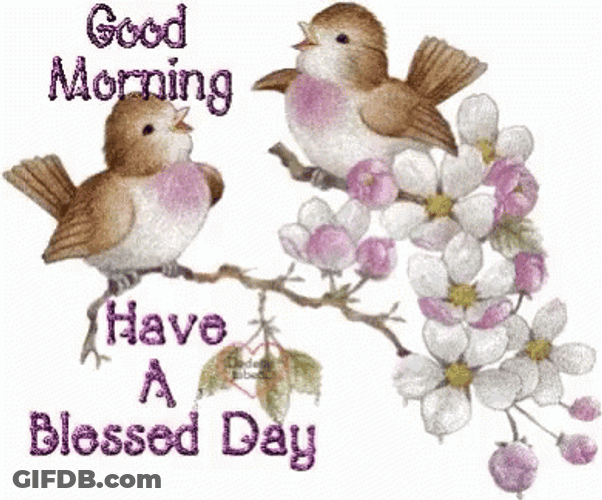 Blessed Monday Birds On A Tree GIF