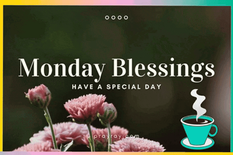 Blessed Monday Have A Special Day GIF