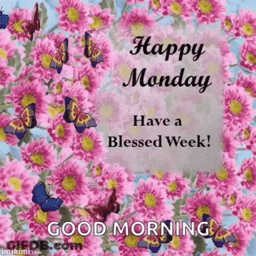 Blessed Monday Scattered Butterfly GIF