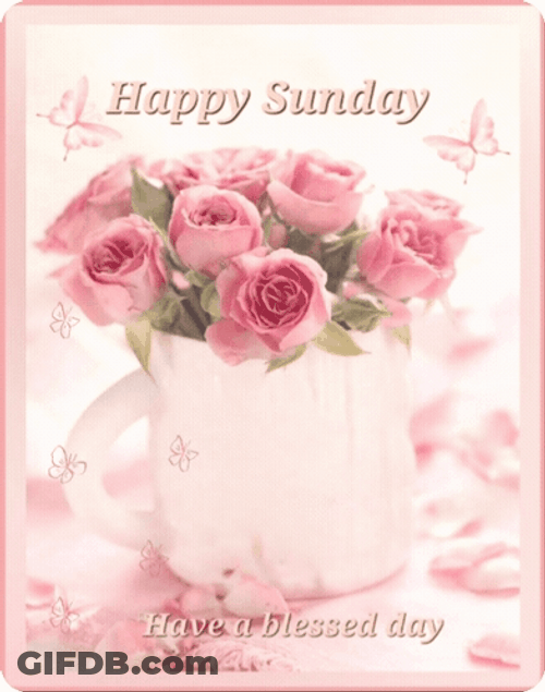 Blessed Sunday Pink Bouquet GIF