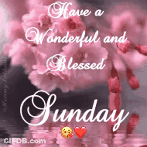 Blessed Sunday With Pink Flowers And Heart GIF