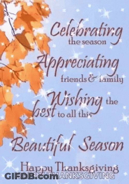 Blessed Thanksgiving GIF