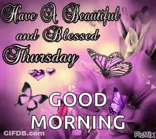 Blessed Thursday Good Morning With Butterflies And Flowers GIF