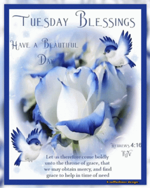 Blessed Tuesday Bible Verse Mobile Design GIF