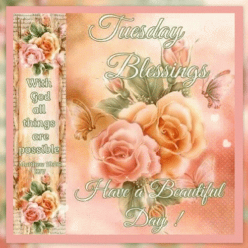 Blessed Tuesday Budding Peach Flowers GIF