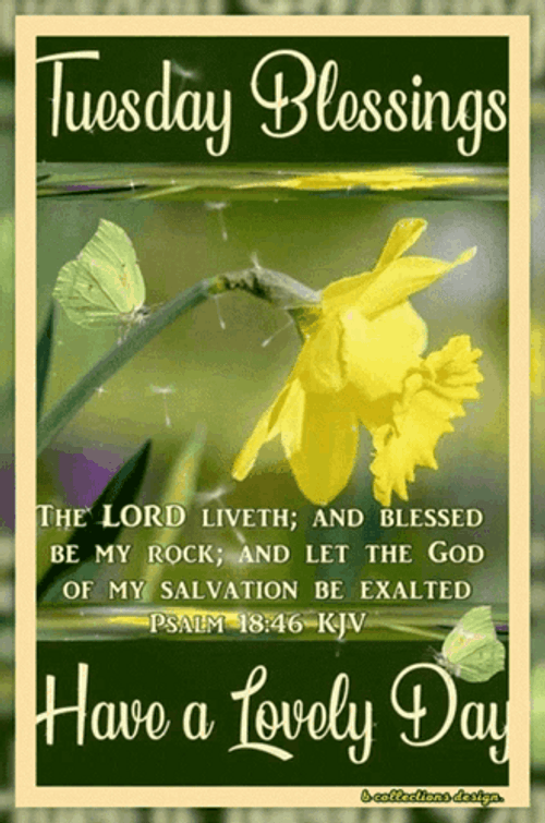 Blessed Tuesday Floating Dandelions GIF