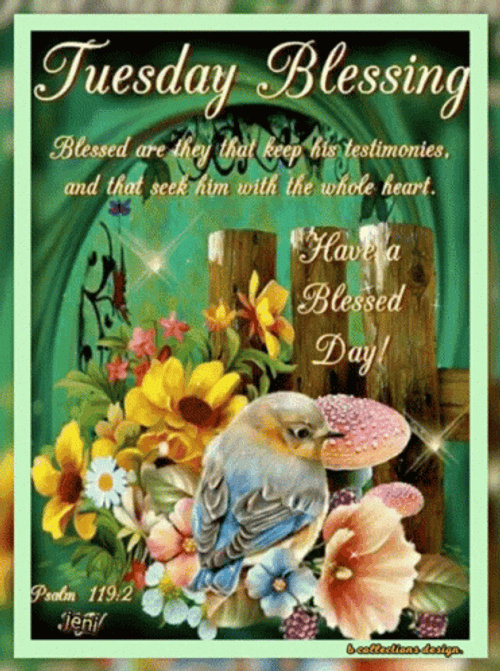 Blessed Tuesday Pretty Little Bird Vector Art GIF