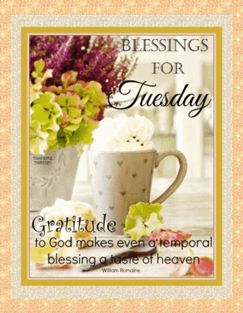 Blessed Tuesday Shimmering Border Graphics Design GIF