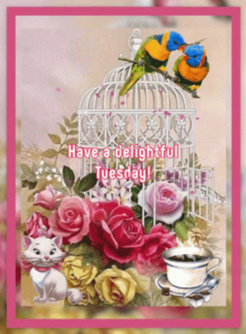 Blessed Tuesday Sweet Love Birds Kissing GIF