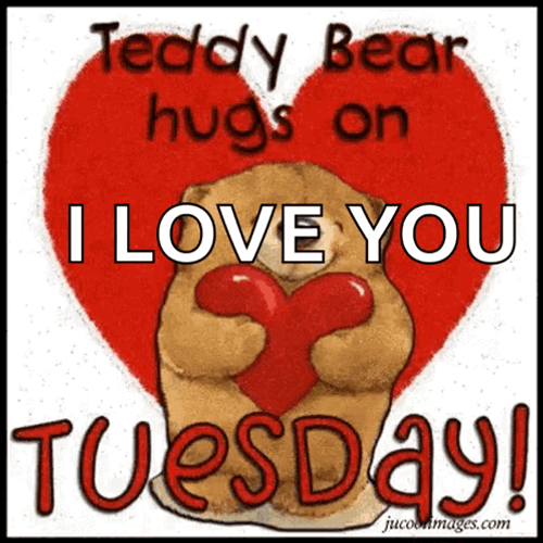 Blessed Tuesday Teddy Bear Hugs GIF