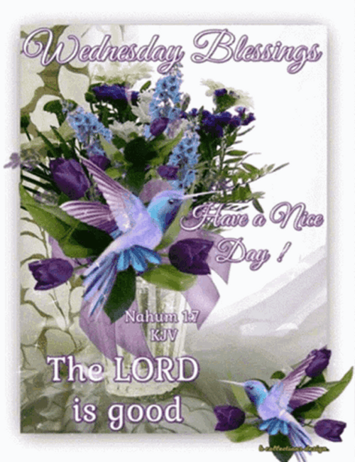 Blessed Wednesday Blue Violet Bird GIF