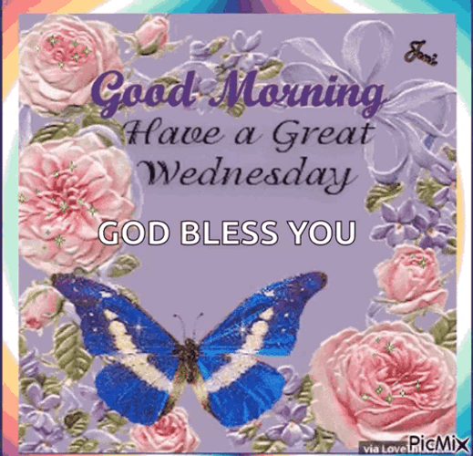 Blessed Wednesday Butterfly And Roses GIF