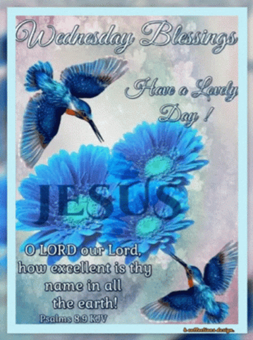 Blessed Wednesday Pollinating Blue Birds GIF