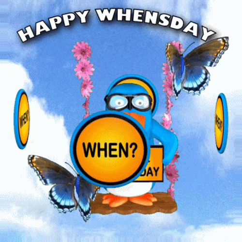 Blessed Wednesday Whensday Penguin GIF