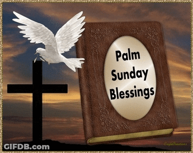 Blessing Happy Palm Sunday GIF