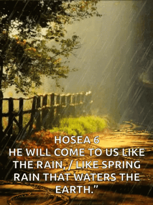 Blessing Praise On Rainy Monday GIF