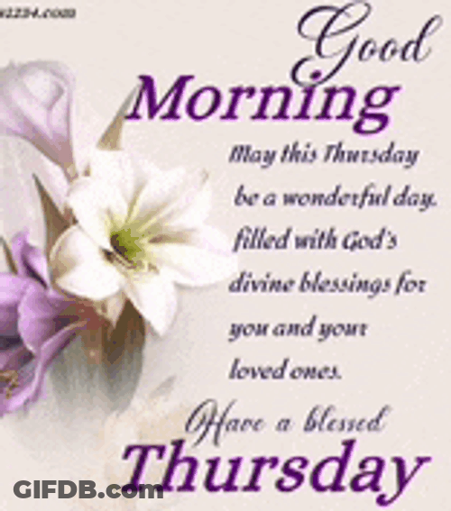 Blessings Good Morning Blessings Meme GIF