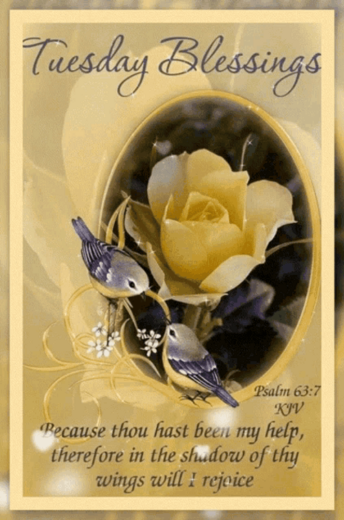 Blessings Tuesday Psalm Verse GIF