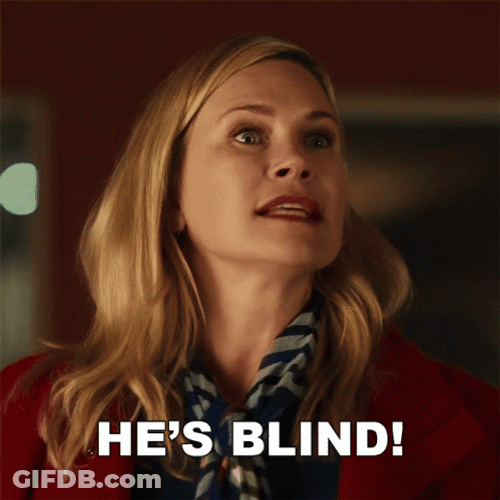 Blind Hero Dog Journey Home GIF