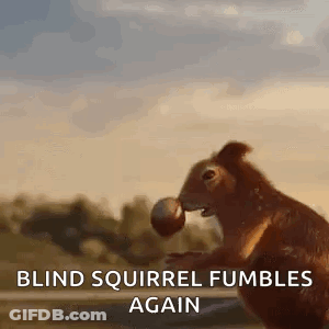 Blind Squirrel Holding Nut GIF
