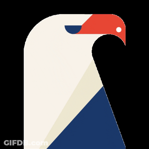 Blinking Bald Eagle GIF