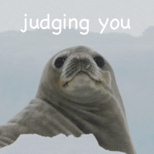 Blinking Guy Crabeater Seal Judging You GIF