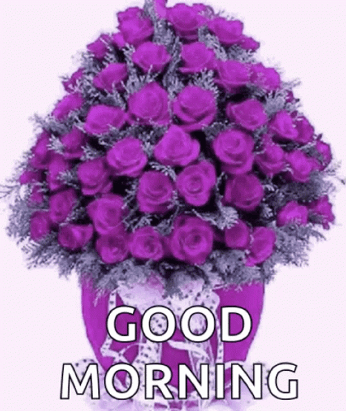 Blinking Violet Good Morning Rose GIF