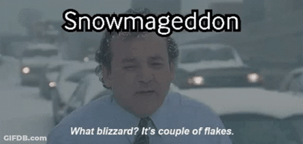 Blizzard Bill Murray Reporting Groundhog Day GIF