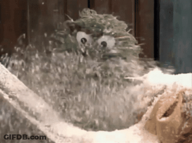 Blizzard Grover Having Fun Sesame Street GIF