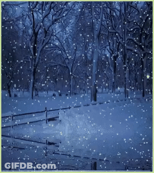 Blizzard Snow Fall Winter Time GIF