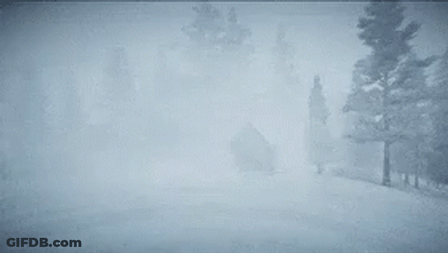 Blizzard GIF