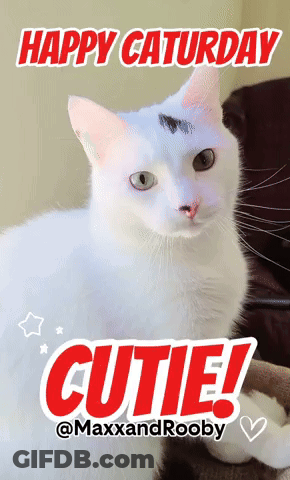 Blonde, Blue-Eyed Woman In Blue Sweater By Gold Curtain GIF