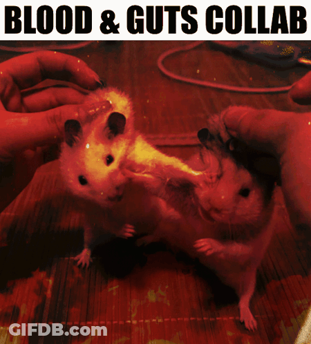 Blood And Guts Collab Hamsters Poster GIF