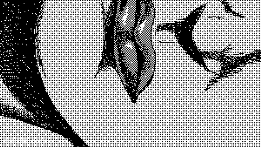 Blood Dripping Flower GIF